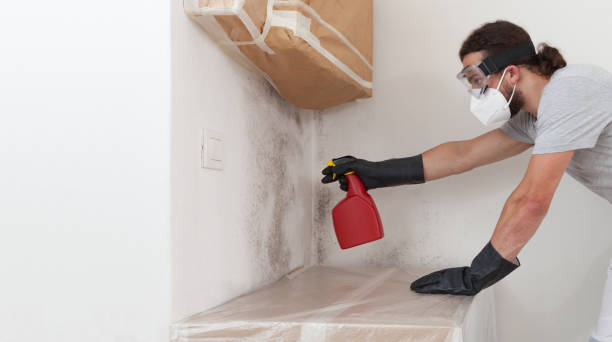 Professional Basement Mold Remediation technician working in Fawn Grove, PA